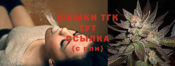 соль ск Гусев