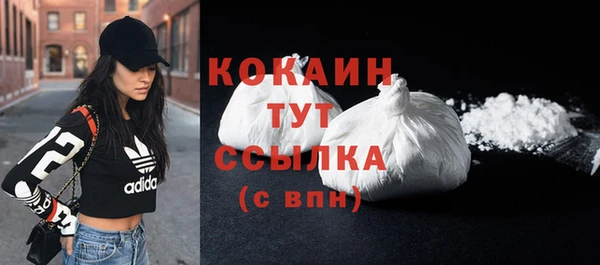 тгк Гусь-Хрустальный