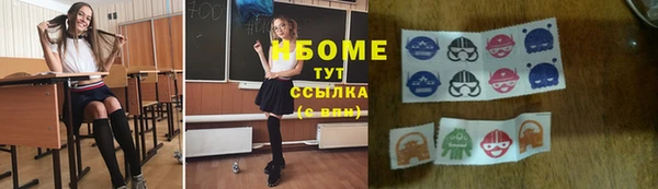 соль ск Гусев