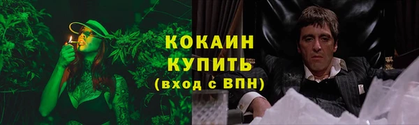 соль ск Гусев