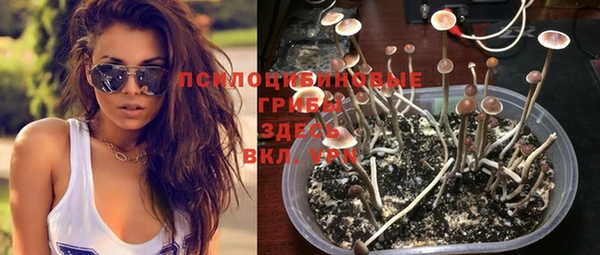 альфа пвп Дмитриев