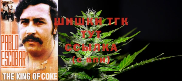 тгк Гусь-Хрустальный