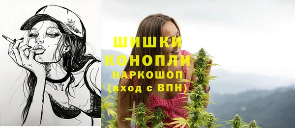 тгк Гусь-Хрустальный